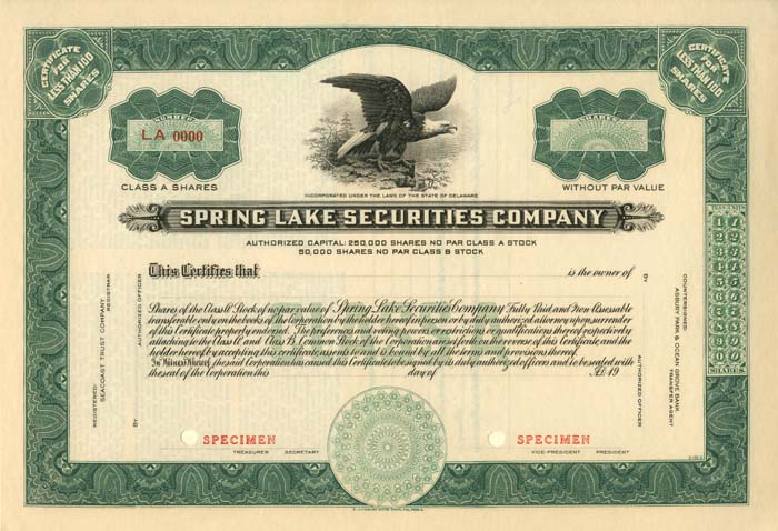 Spring Lake Securities Co.